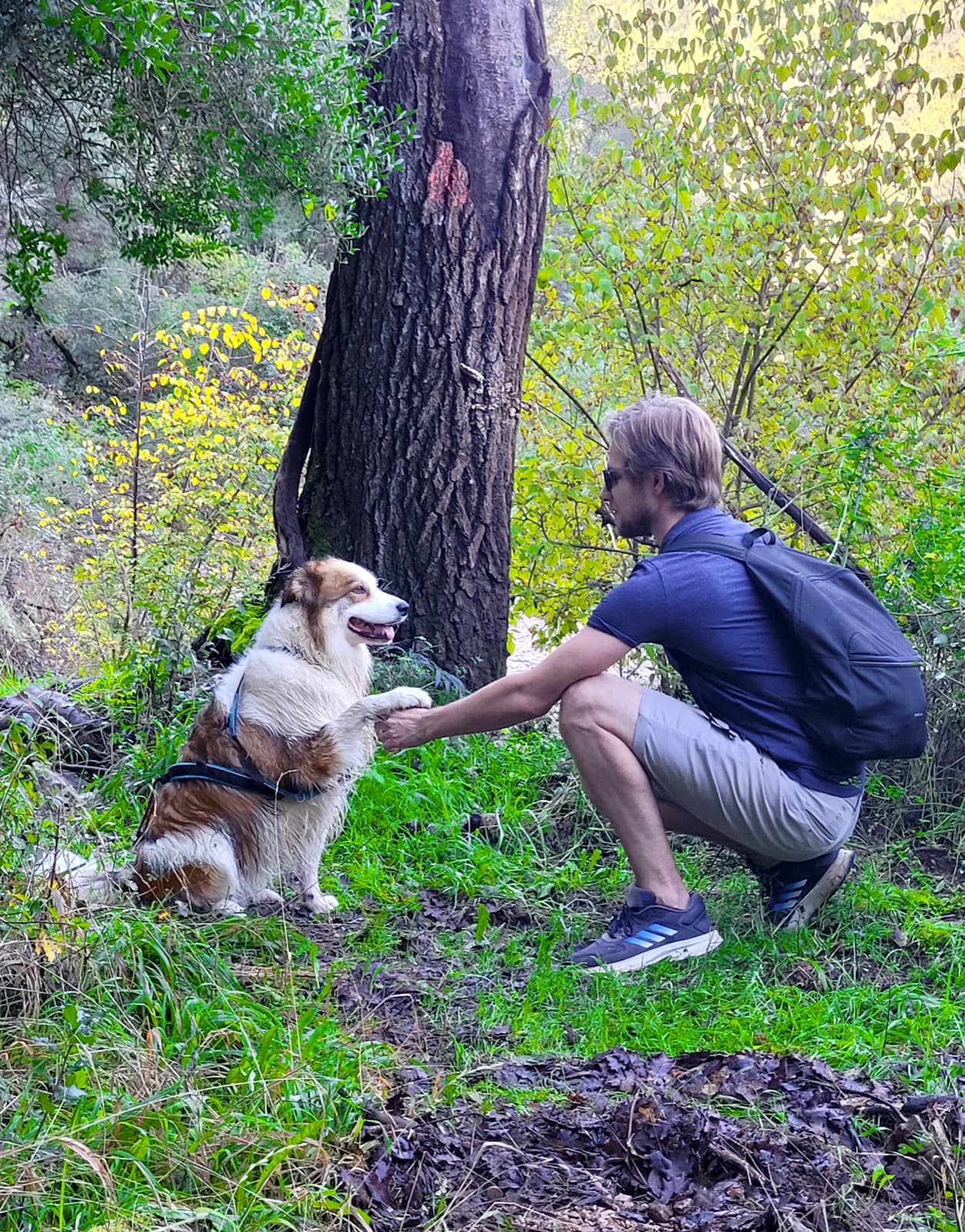 Antoine avec Mia en forêt